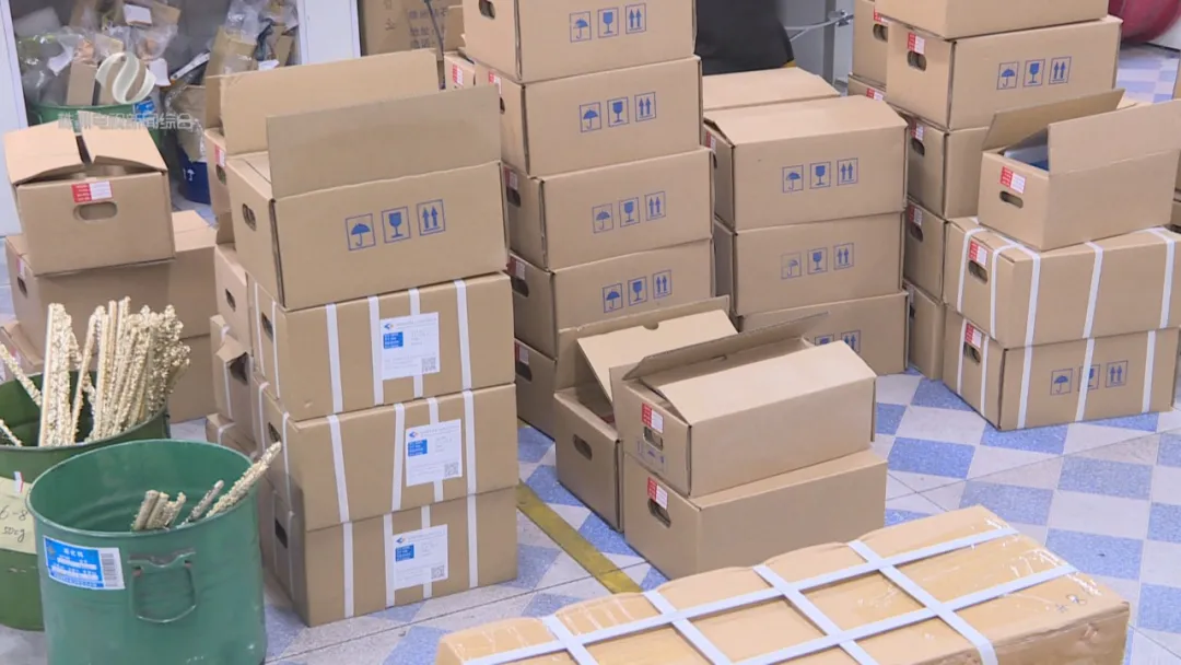 這批“株洲造”及時發往俄羅斯，竟有意想不到的收獲！(圖4)